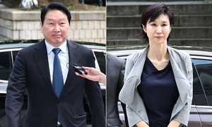 최태원 SK그룹 회장(왼쪽)과 노소영 아트센터나비 관장. 연합뉴스 제공