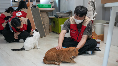기사 썸네일