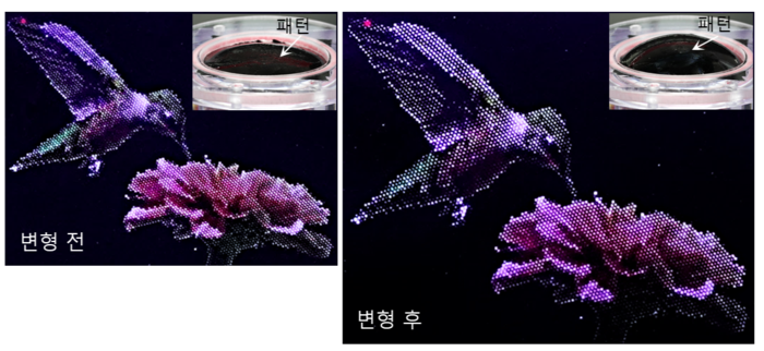 연구진이 개발한 공정을 통해 제작한 신축 양자점 고해상도 이미지. (최문기 교수)