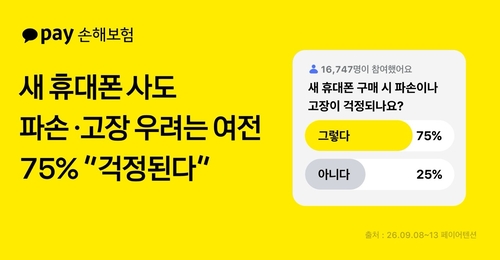 이미지=카카오페이손해보험