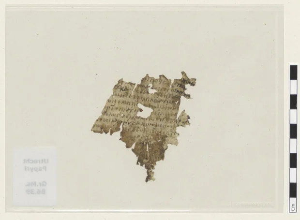 Photo Image