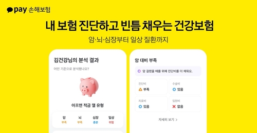 이미지=카카오페이손해보험