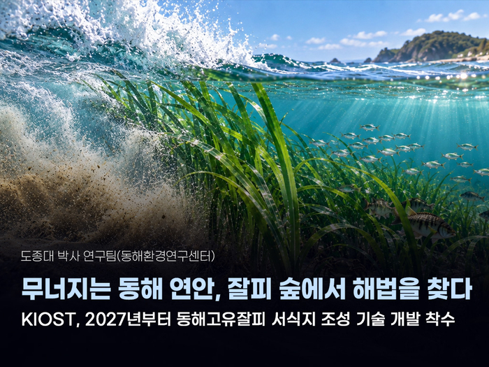 '잘피숲' 조성해 동해 연안 생태계 수호