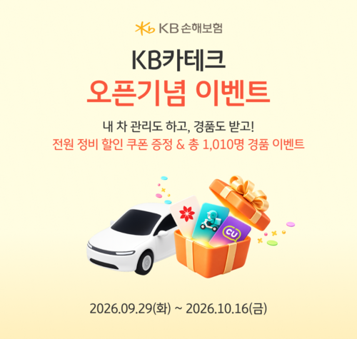 이미지=KB손해보험