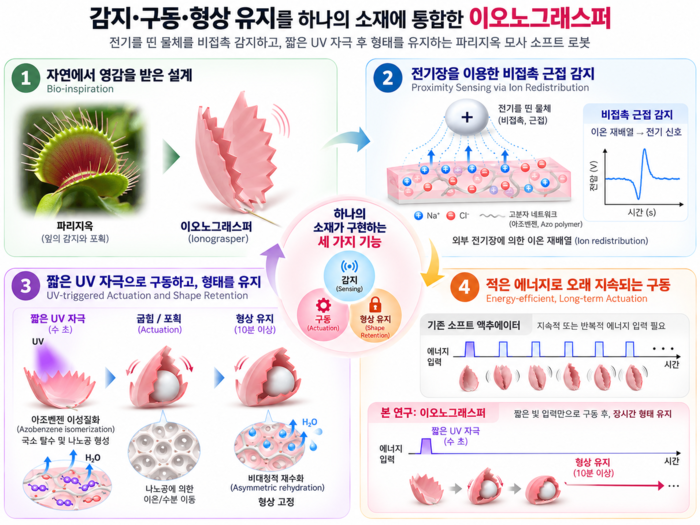 연구모식도 (AI 생성 이미지)