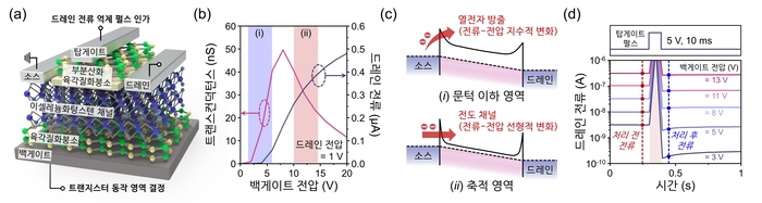 빛의 세기에 따라 영상 신호를 조절하는 이셀레늄화텅스텐(WSe2) 트랜지스터의 구조와 작동 원리.