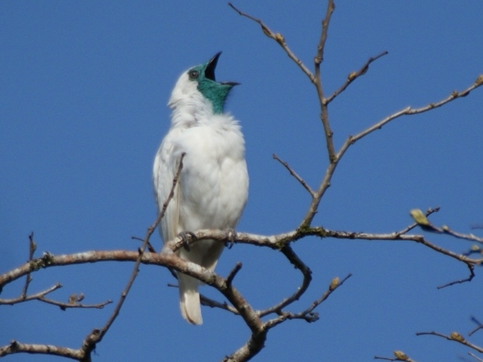 Photo Image