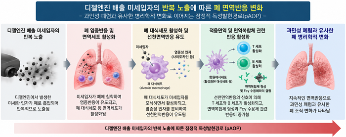 디젤엔진 배출 미세입자 반복 노출에 따른 폐 면역반응 변화