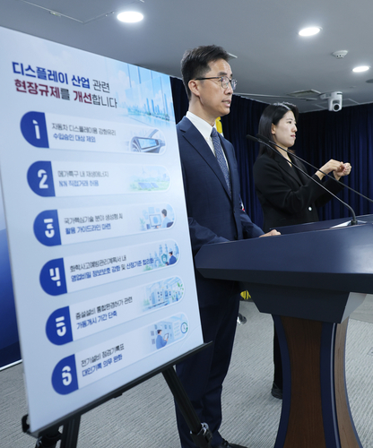 김민성 민관합동규제합리화추진단 부단장이 6일 서울 종로구 정부서울청사에서 자동차 디스플레이용 강화 유리의 수입 승인 부담 개선 등을 내용으로 한 디스플레이 규제합리화에 대해 브리핑하고 있다. 연합뉴스
