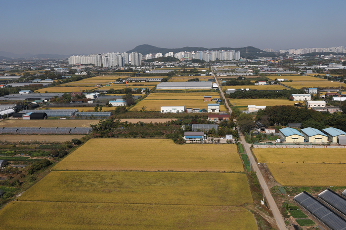 정부가 농지 전수조사에서 투기 목적의 농지법 위반만 처분하고, 상속농지와 관행적 임대차 등 투기와 무관한 농지법 위반은 처분 대상에서 제외하기로 했다고 8일 밝혔다. 이날 경기도 고양 일대 농지. (사진=연합뉴스)