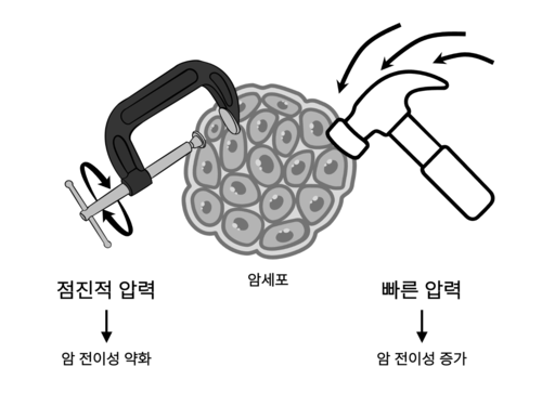 Photo Image