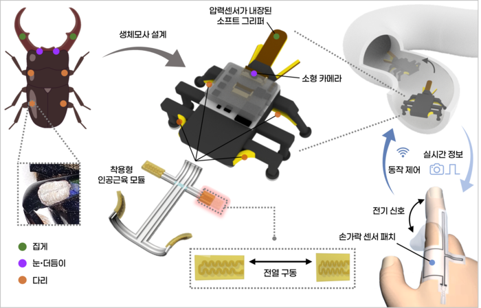 KAIST가 딱정벌레를 모사해 만든 비틀봇 구성·작동 모식도