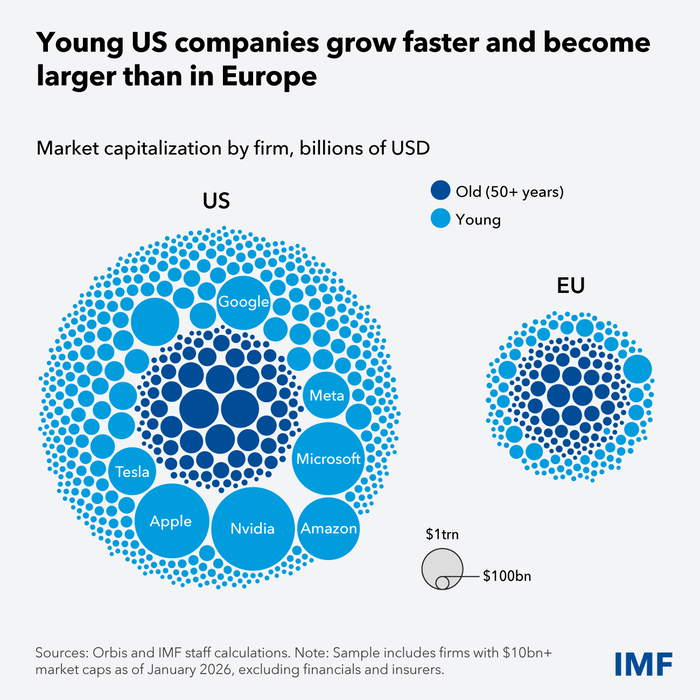 2026년 1월 기준. 금융·보험업을 제외한 시가총액 100억달러 이상 기업 비교도. (IMF)