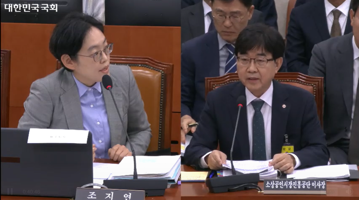 조지연 국민의힘 의원이 15일 국회 산업통상자원중소벤처기업위원회의 중소벤처기업부 산하기관 국정감사에서 인태연 소상공인시장진흥공단 이사장에게 질의하고 있다. 국회의사중계시스템 화면 캡처.