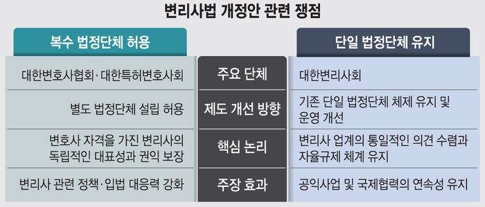 변리사법 개정안 관련 쟁점