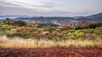 기사 썸네일