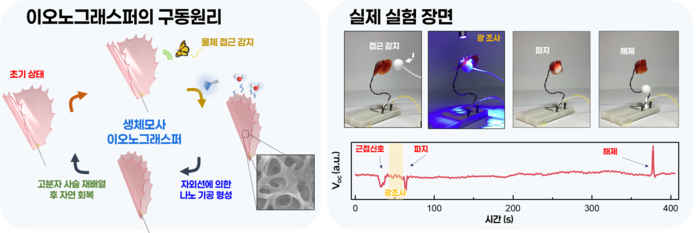 전북대-KAIST, 물체 접근 감지하고 붙잡는 '소프트 로봇' 개발