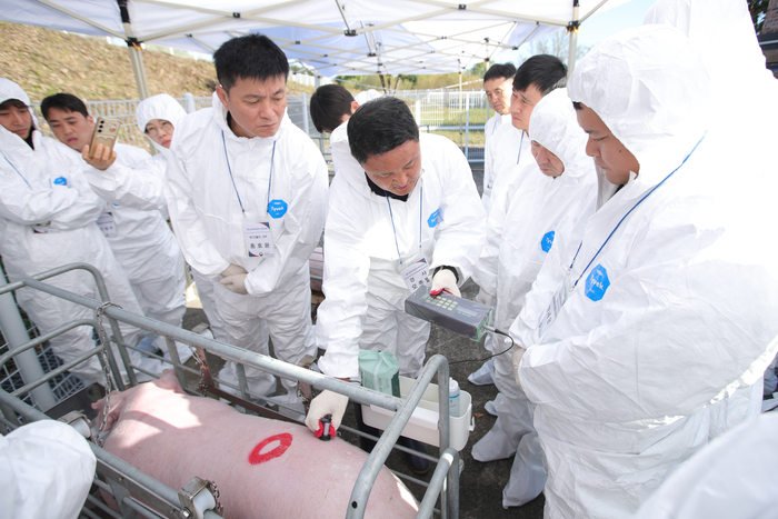 21일 농촌진흥청 국립축산과학원에서 열린 '2026년도 하반기 돼지능력검정원 양성교육'에서 교육생들이 초음파 기기를 이용해 돼지의 주요 형질을 측정하고 있다. (사진=농촌진흥청)