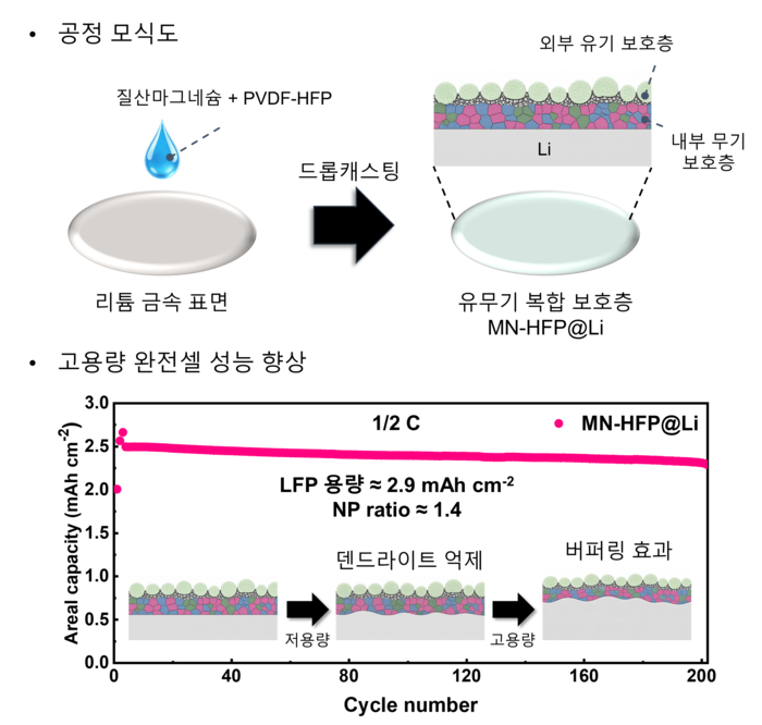 리튬금속 보호층의 제작 과정과 배터리 성능.