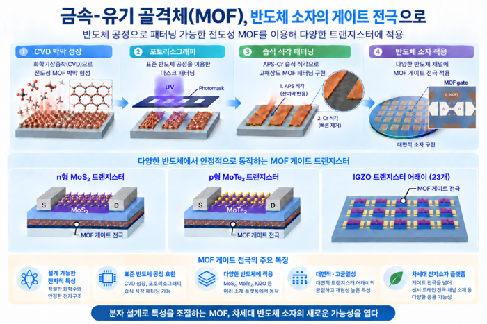 연구 이미지 (연구 모식도, AI 생성)
