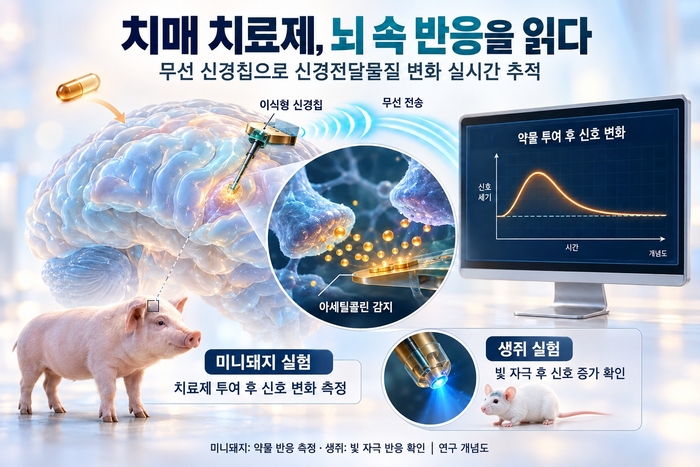연구 이미지 (AI 생성)