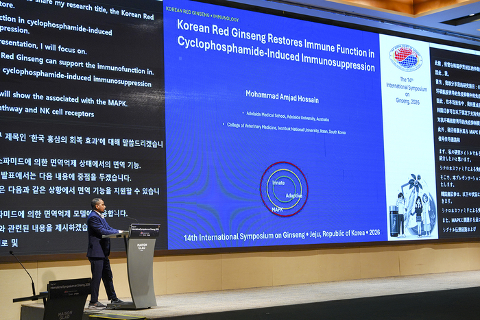 “홍삼, 노화·수면·기억력 저하 개선 가능성…항노화 기전 규명”