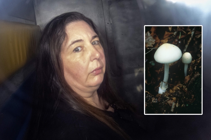 지난해 12월 호주에서 알광대버섯(오른쪽 사진)을 넣은 음식으로 시댁 식구 3명을 살해한 혐의를 받는 에린 패터슨. 사진=AFP 연합뉴스 / 남부지방산림청