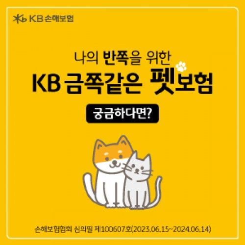 배너 이미지