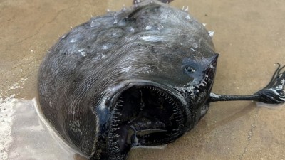 기사 썸네일