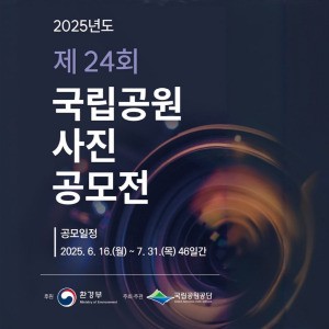 배너 이미지