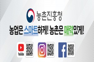 배너 이미지