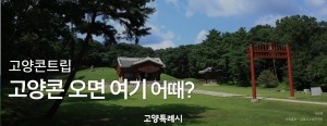 배너 이미지