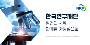 배너 이미지