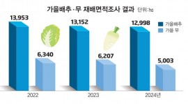 인포그래픽 섬네일