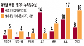 섬네일