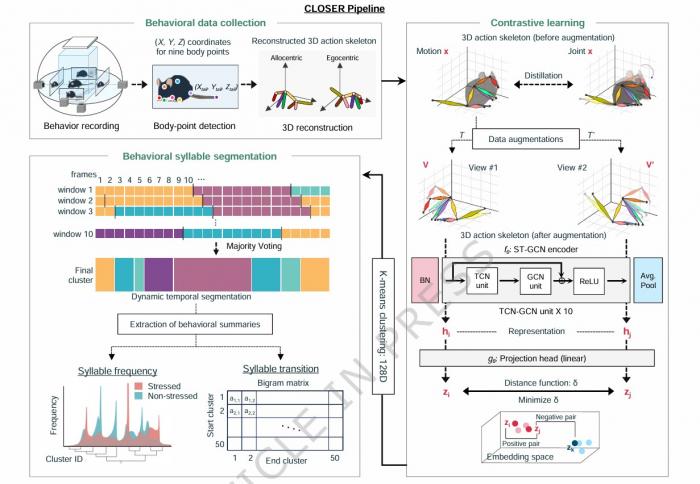 카이스트, 우울증 진단하는 AI 시스템 개발… 최대 66% 정확도