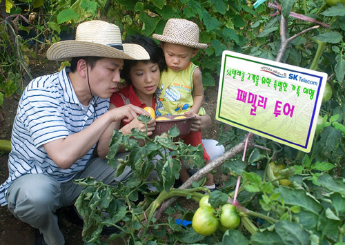 Photo Image