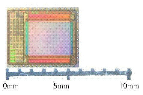 픽셀플러스, 1/4.2 인치 1.3메가 픽셀 CIS 개발