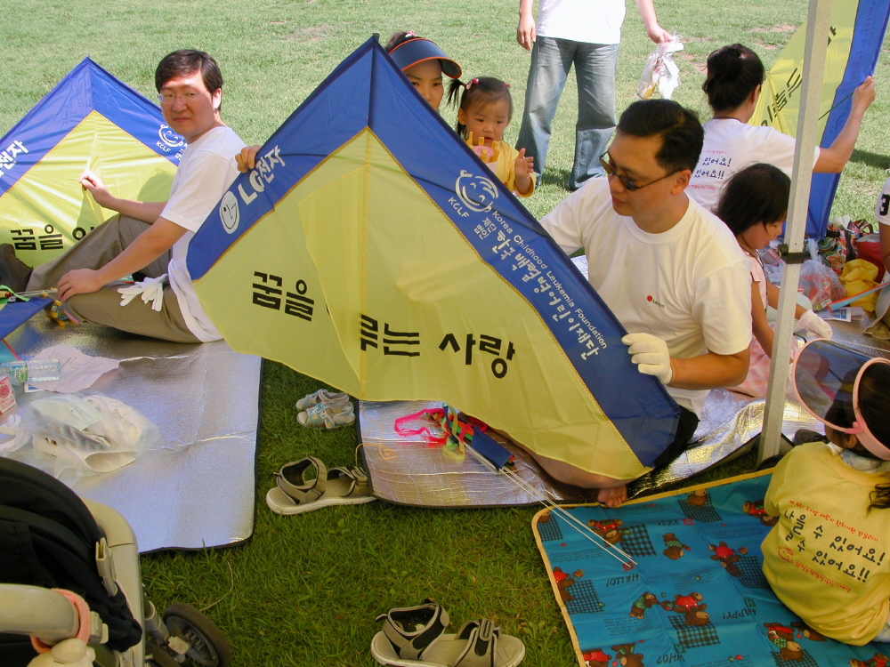 LG전자 소아암 돕기 연 날리기