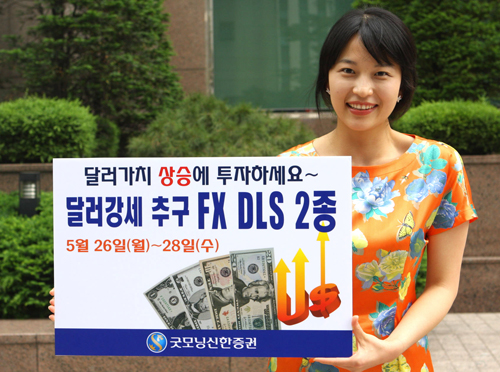 18/금융신상품/굿모닝신한증권, 달러 강세에 투자하는 DLS 2종 공모