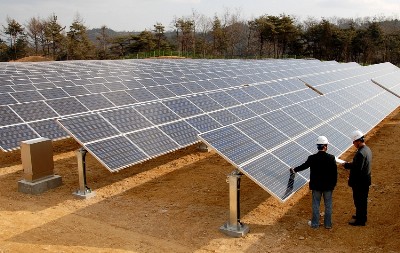 샤프, 1MW급 태양광발전소 완공