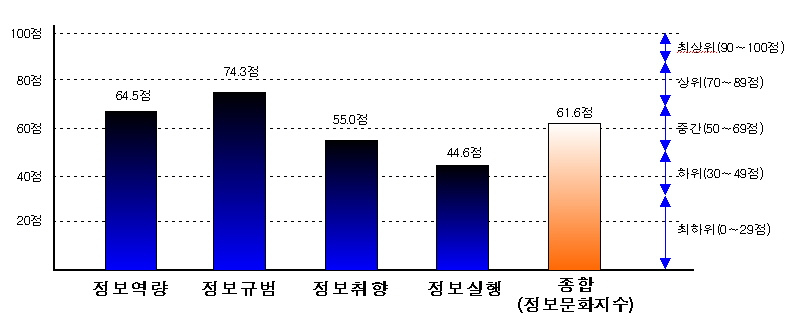 2008년 정보문화지수 시범 실태조사 결과.