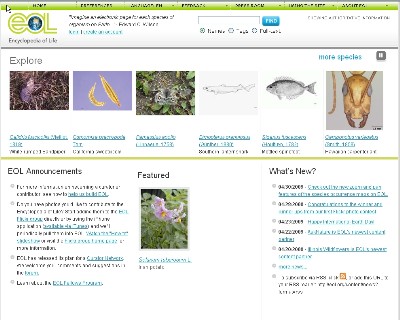 　다양한 희귀 동식물 자료가 실시간으로 올라오는 ‘생명백과사전’ 사이트.