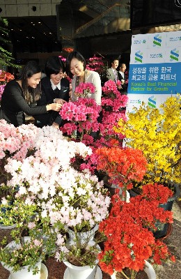 은행으로 꽃구경 오세요