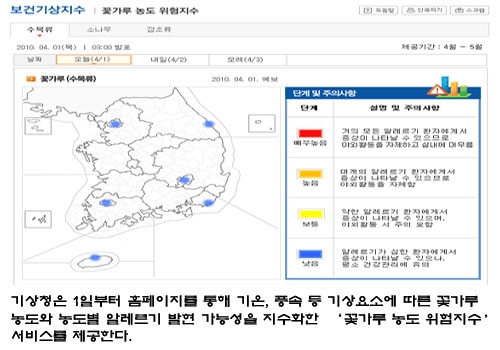 ‘꽃가루 위험지수’로 알레르기 대비하세요!