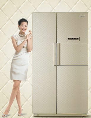 대우일렉의 신소재 양문형 냉장고는 거실·주방과 동일한 인테리어 컬러로 프리미엄시장에서 인기를 얻고 있다.