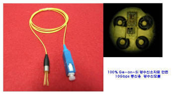 100% 게르마늄 온 실리콘으로 만든 10
