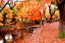 [기획]쇼핑이 즐겁다