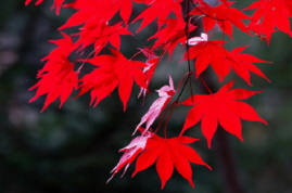 [기획]쇼핑이 즐겁다