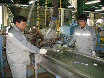 Photo Image